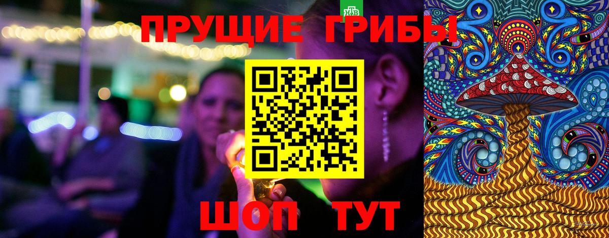 Псилоцибиновые грибы Psilocybe  Галлюциногенные грибы прущие грибы  Вход с VPN  Знаменск 