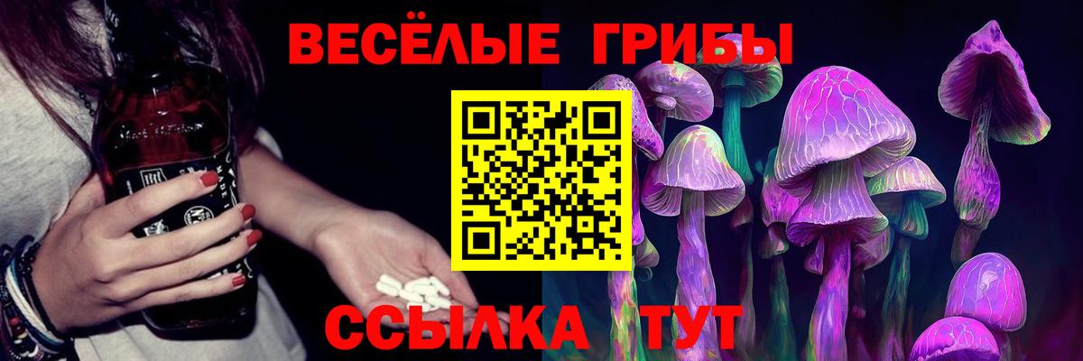 Галлюциногенные грибы Psilocybe Знаменск